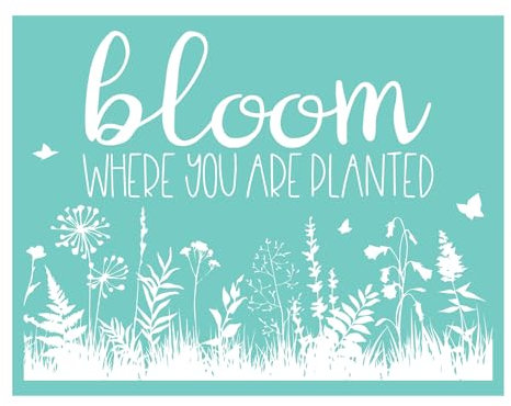 Siebdruck-Schablone Bloom Where You're Planted, wiederverwendbar, selbstklebend, für Dekoration, Druck, Holz, Stoff, Wand, Tasse, Teller, Glas, Papier, Heimhandwerksprojekte, Dekorationen, Muster