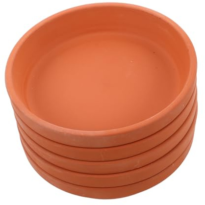 BESPORTBLE 5pièces Soucoupes Terre Cuite Rondes pour Pots De Plantes avec Trou De Drainage pour Intérieur Et Extérieur