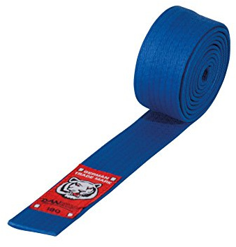 DanRho Junior Taekwondo Judo Karate Gürtel 4 cm Budogürtel 1-farbig einfarbig