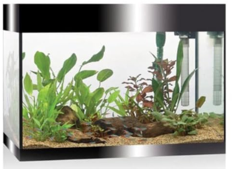 Askoll Aa350050 Askoll Pure Acquarium Kit Nero LED 68 Litri - Filtro - Riscaldatore - Timer Luci LED, L, Nero