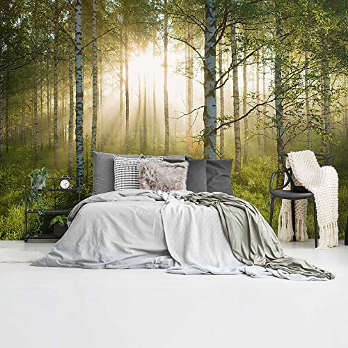 REINDERS Fototapete, Sonnestrahlen im Birkenwald, Schlafzimmer, Bilder, Wanddeko, Room Decor, 130 gr. matt Vlies, Grün, 260x384cm