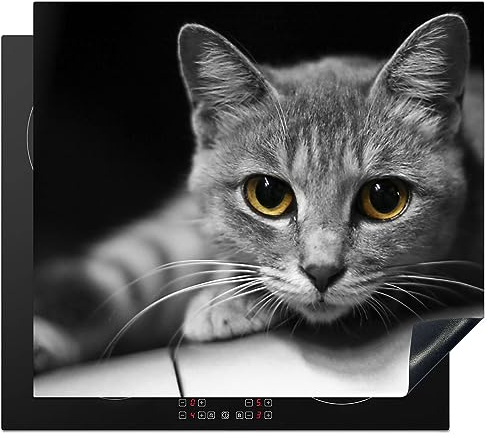 Protège-plaque à induction - Plaque Protection Vitrocéramique Induction - Vinyl - Chat - Animal - Macro - 60x52 cm - Couvre Plaque de Cuisson - Accessoires de Cuisine Multicolor