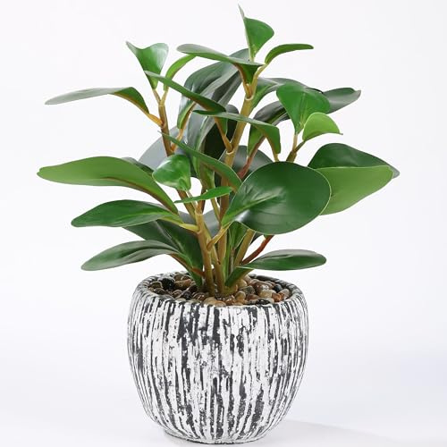Artifolia Kunstpflanze in Beton-Topf, 28 cm — Realistisches Laub | Pflegefrei, Pollenfrei, Farbfest, kompakte Dekopflanze, Sattes Grün für Schreibtisch, Bad, Balkon und dunkle Ecken