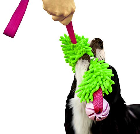 DINGO Floatable Tug Toy with a Flavoured Ball and Bungee Handle, Handmade Dog Chaser for Play, Tug of War, Agility, Fetch, Water Training, Microfiber Green 15589-2