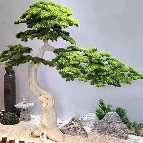 Sohodoo Albero di Pino Artificiale for Gli Ospiti Albero di podocarpus Alberi di Pino Finti Casa, Decorazioni for Feste di Natale for Interni ed Esterni, Albero di podocarpus(1mx0.9m)