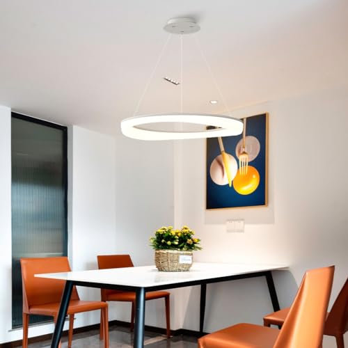 RuiRfh Pendelleuchte kreative Einbauleuchte 2 Ringe Moderne LED Kronleuchter weiß dimmbar Hängelampe mit Fernbedienung runde höhenverstellbare Leuchte für Schlafzimmer Wohnzimmer Foyer Esszimmer (Siz