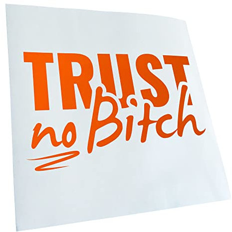 Kiwistar - Autoaufkleber - Orange - 16x10cm Trust no B - Vertrau keiner Tussi Aufkleber für Auto, Laptop, Fahrrad, LKW, Motorrad mehrfarbig JDM Decal Racing