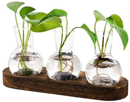 Ruhnjyg Jarrón de propagación de Agua, terrario con Soporte para Flores, Maceta de Vidrio hidropónico, para Dormitorio, Dormitorio, apartamento, Sala de Estar, Lugar de Trabajo, mostrador de Mesa