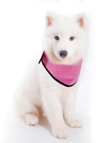iplusmile Pet Cooling Collar Dog Ice Scarf Summer Cooling Towel Neck Wrap for Outdoor Walking Running