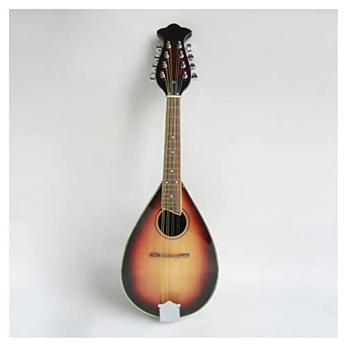 student mandolin Tenor Mandolin Eight-string Mandolin Instrument