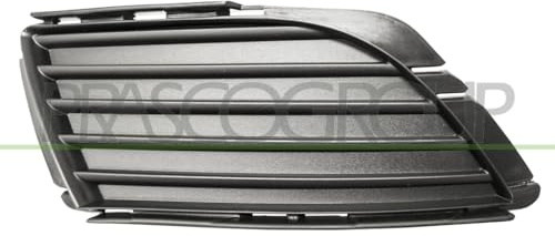 Prasco OP0322124 Alerón Delantero de Rejilla