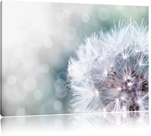 Pixxprint Zauberhafte Pusteblume, Größe: 80x60cm, Leinwandbild, fertig gespannt, Wandbild, Dekoration, Kunstdruck, kein Poster