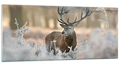 ARTTOR Bilder auf Glas 120x50cm Wandbild Glasdruck Natur Tiere - 3744 | Reh Wald Panorama Groß Modern Dekoration Wohnzimmer Schlafzimmer Küche Wanddeko Kunstdruck Art Wall Decor ARTTOR