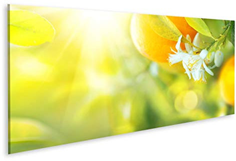 Bild Bilder auf Leinwand Blühender Orangen- oder Zitronenbaum. Gesunder Bio-Zitronen- oder Orangenanbau im sonnigen Obstgarten Wandbild, Poster, Leinwandbild QRN