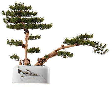 XXXXW Handmade Chinese Artificial Tree Artificial Cedar, Villa Hotel Porch Corridor Zen Artificial Bonsai, Artificial Potted Simulation Plants Fake Plant