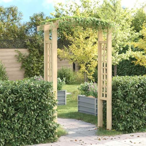 Cervaline Voûte en Treillis 150x60x210 cm Bois,Maison & Jardin,Pelouses & Jardins,Vie en extérieur,Structures extérieures,Arches, treillages & pergolas de Jardin,23.45 kg-41662