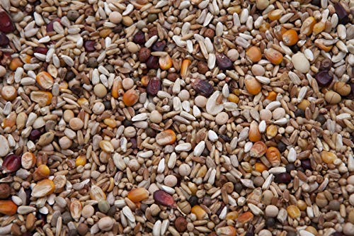 High Energy Pigeon Mix (16%) 20 lbs