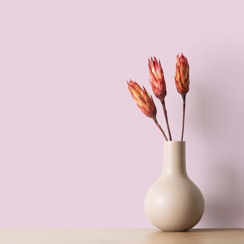 K&L Wall Art Seidenmatt Wandfarbe Pinke Innenwandfarbe modern Wandschutz Anstrich 5Liter Farbe