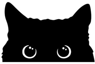 Autocollant pour pare-chocs de voiture - Motif chats - 15 x 9,7 cm - Étanche - Pour ordinateur portable et voiture - Décoration extérieure