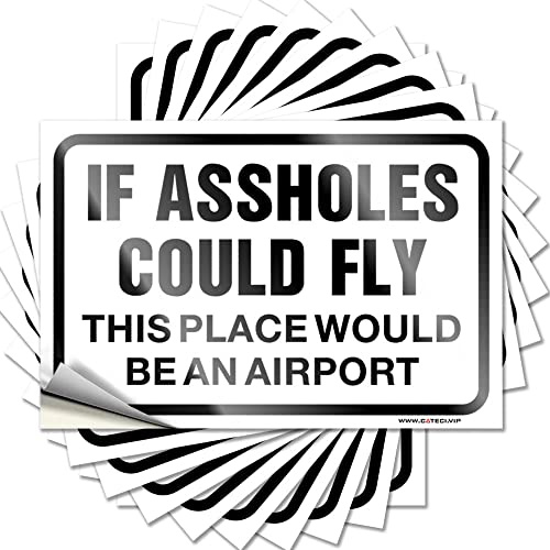 Dekal för dig gjorde det psykisk hälsa medvetenhet uv-resistent om idioten kunde flyga denna plats skulle vara en flygplats | veckodag bra jobb klistermärken för vuxna (8 x 12 cm – 10 st)