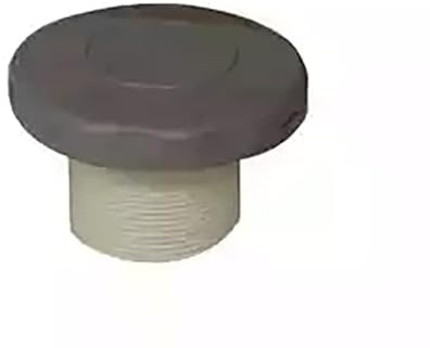 ASTRAL Prise Balai Grise pour Piscine béton