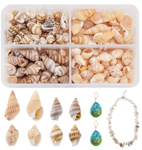 PH PandaHall Aproximadamente 330 Conchas en Espiral de 4 Estilos Conchas Naturales de Playa del océano sin Agujero para Joyas Pulseras artesanías decoración del hogar Acuario y llenador jarrones