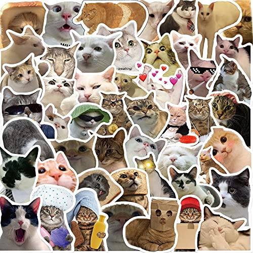 Cat Meme Aufkleber für Laptop(50 PCS),Geschenk für Kinder Jugendliche Erwachsene Jungen,Meme Stickers Wasserdicht Vinyl Aufkleber für Scrapbook,Skateboard,Auto,Gepäck