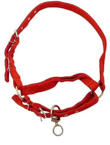 YROHGKPN Cabestro para animales seguro y estable con ajuste individual para ganado masculino de diferentes tamaños y caballos compactos. Collar de lona engrosado