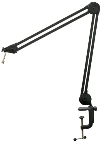 512 Skylight, microfono professionale a condensatore a diaframma largo (microfono a condensatore da studio di alta qualità, capsula rivestita in oro da 34 mm, schema polare cardioide)