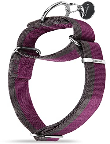 Dazzber Martingal Halsbänder für Mittel/Große Hunde 4cm Breites, Extra Starkes, Verstellbar, Hohe Farbechtheit- Nylon 2 Farbe Gestreift Weit Hundehalsband (Fuchsie & Grau, Mittel, 4cm Breit)