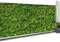 IDMarket - Brise Vue occultant 1,2 x 10 M imprimé Feuillage 160 GR/m²