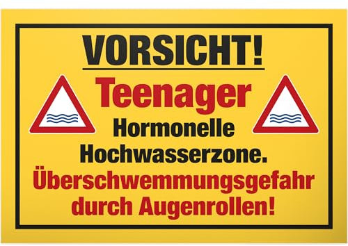 DankeDir! Hormonelle Hochwasserzone - Kunststoff Schild 30 x 20 cm - Geschenkidee Teenager Spruch Zimmer Türschild Jugendzimmer - Dekoration Zimmer Deko Geschenk Idee Jugendliche Tür Deko Geburtstag