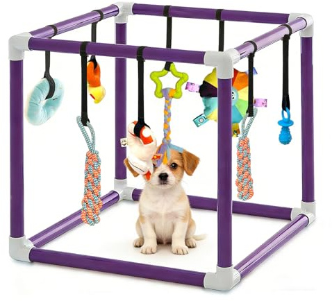 CISSIYOG Estudio de juegos para cachorros con 8 juguetes colgantes, marco de PVC morado, centro de actividades para perros pequeños, estudio de juegos para cachorros para perros pequeños, paraíso con