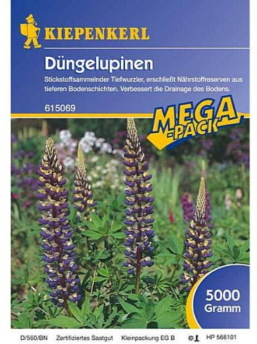 Düngelupinen, blaue Süßlupine 5 kg