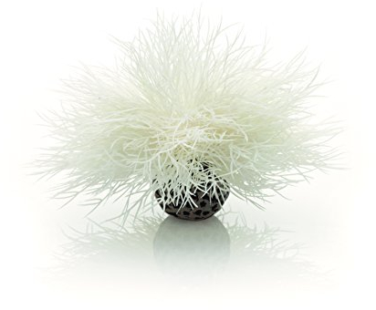 biOrb 46078 Aquarien Seelilie, weiß – kleine Aquariumdekoration (10 x 10 x 11 cm), detaillierte Wasserpflanze aus Kunststoff, für Süßwasseraquarien, Meerwasseraquarien