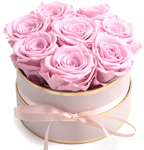 ROSEMARIE SCHULZ Heidelberg Rosenbox rosa rund Infinity Rosen - Flowerbox 8 echte Rosen haltbar 3 Jahre Durchmesser 15 cm - Geschenk für Frauen (Rosa-Rosa)