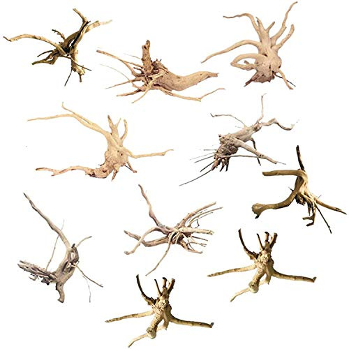 Erpmlyo Lot de 10 branches de bois flotté pour aquarium, , tronc d'arbre, bois flotté