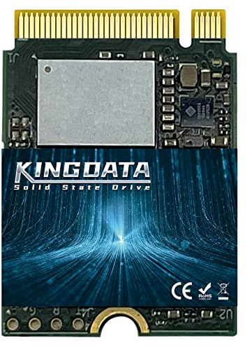 KINGDATA Unidad de Estado sólido Interna M.2 2230 SSD PCIe NVMe Gen 4.0X4 para PS5 Steam Deck, Microsoft Surface, Ultrabook, Ordenador portátil, Escritorio (M.2 2230 PCIe 4.0, 1TB)