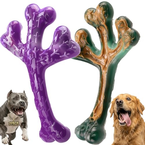 Chienbox Juguete Perro Indestructible para Masticadores Agresivos: 2 Piezas Juguetes para Perros Medianos y Grandes, Juguete Perro de Nylon, Juguetes Perros Grande para Entrenamiento y Limpieza Dental