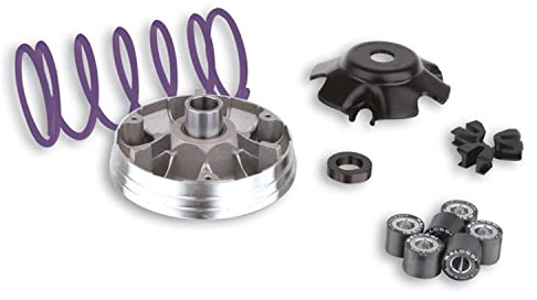 Malossi Muvar Free 100 4T - Variatore