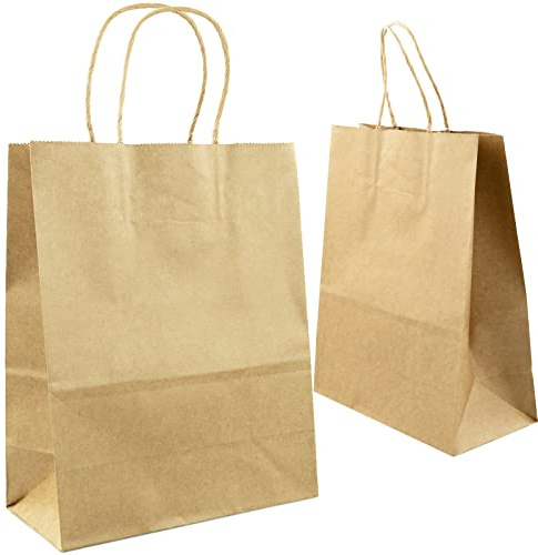 10X Papiertüten mit Henkel Braun,Kleine Papiertragetaschen Papiertüten aus Kraftpapier Geschenktüten Kraftpapiertüten Papiersackerl Geschenktaschen für Geschenk,27x20x11cm