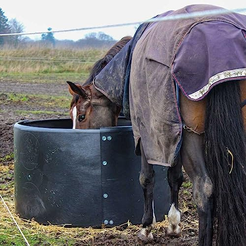 Brama-West Heuraufe Pferde N°674- Rundraufe - Slow Feeder - mit Innendurchmesser 124 cm - Ringraufe