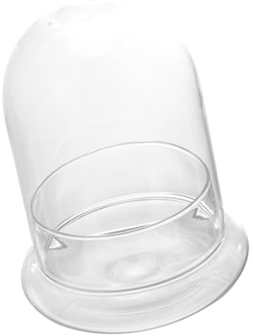 COHEALI Terrarium en Verre Écologique Grand Format avec Cloche Perforée, Contenant Paysager Transparent pour Micro-Paysage, Bouteille Vide Solide pour DIY Plantes de Bureau et Décoration