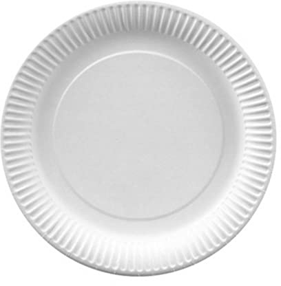 100 Einweg Teller Pappe rund Ø 20 cm weiss Pappteller