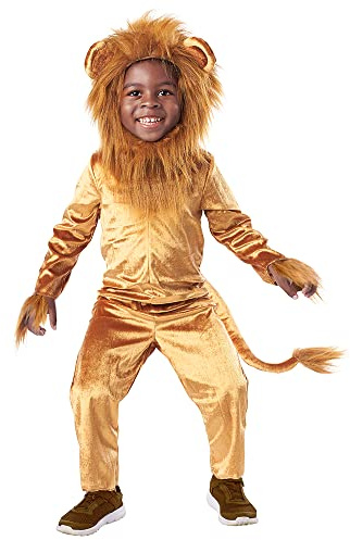 Seasons Cuddly Lion Halloween Costume Animal Costume Onesie for Kids
