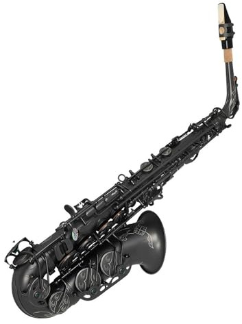Saxophone Professionnel Vernickeltes Altsaxophon Eb, flaches Messingrohr, Abalone-Muschel, Klappen, Saxophon mit Gurt, Reinigungstuch, Rohrblattteile