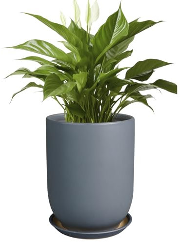 SUNPOTFOR Keramiktopf für Pflanzen, 20,3 cm, Blumentopf für Zimmerpflanzen, Outdoor, Keramik-Übertopf, großer Blumentopf mit Ablaufloch und Untersetzer, für Zuhause, Garten, Dekoration, Grau