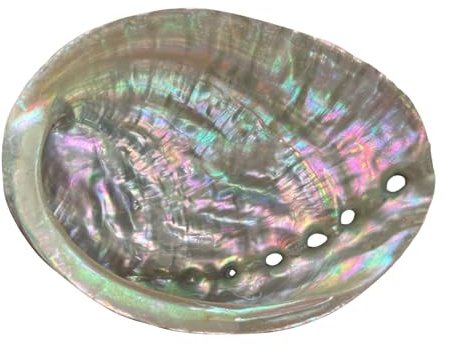 1Pc Colorful 4-4.5 Inch Abalone Shell Bowl Natural Smudge Bowl for Sage Burning and Incense Sea Shell Smudging Bowl for Decor and Display, Incense Holders Large