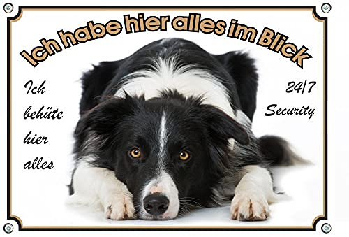 Petsigns wunderschönes Hundeschild Border Collie - Metallschild Premiumqualität - rostfrei und beständig, DIN A4
