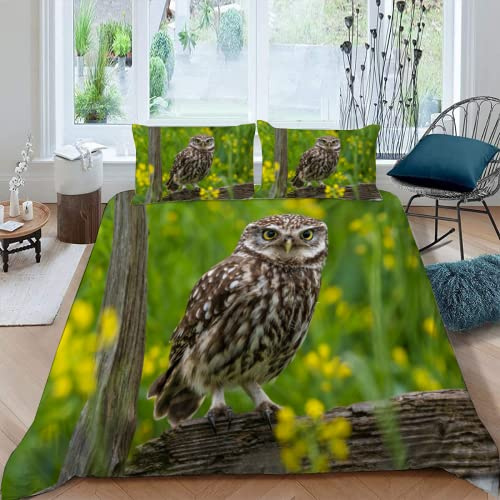 Parure de lit Hibou Adulte 3 Pièces Literie Set Colza Housse de Couette Microfibre Impression 3D Housse de Couette et taie d'oreiller avec 220 x 240cm + 2 Taies d'Oreillers 65 x 65cm